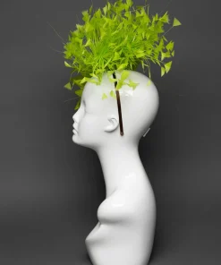 THG3248*The Hat Girls New